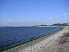 s_PICT0003_thumb.png